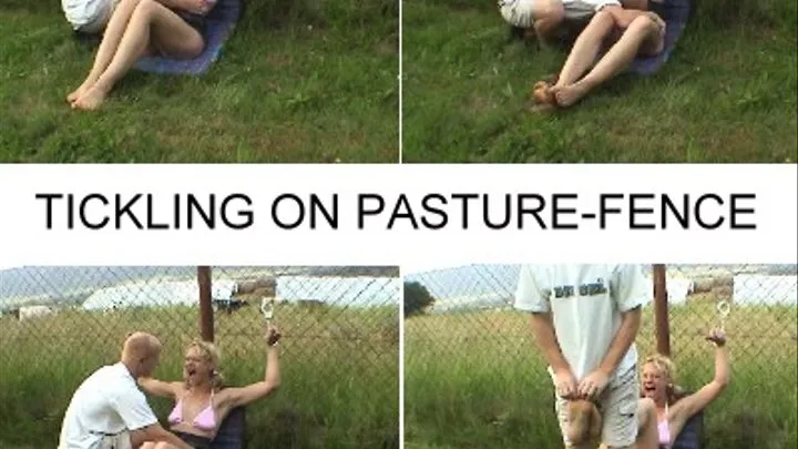 TICKLING ON PASTURE-FENCE part 2 of 2