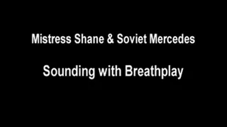 - Mistress Shane and Mistress Mercedes- Sounding 1 - - hd