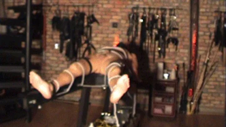 Black leather gloves Mistress - part 9 -