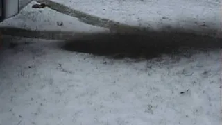 Snowy Stain Full Exhaust Shoot