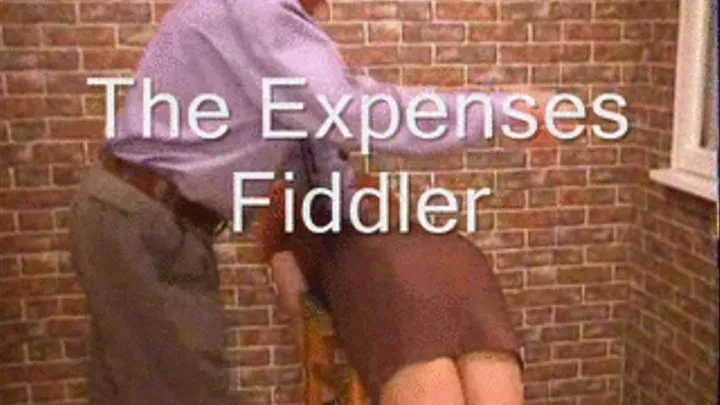 Expenses Fiddler