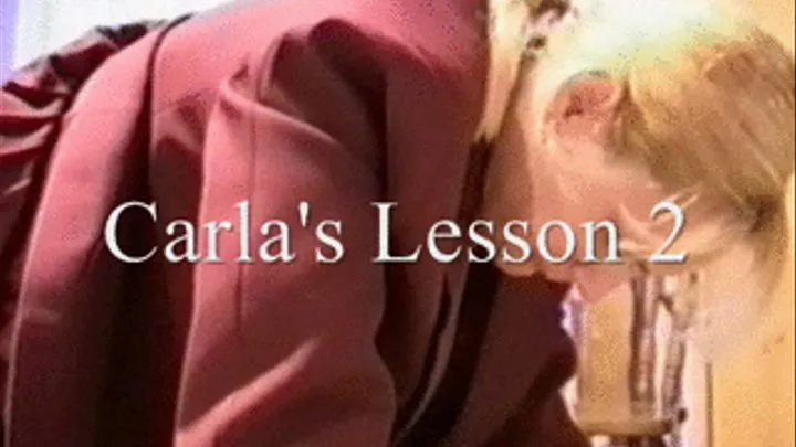 Carla's Lesson 2