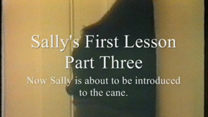 Sally's First Lesson, Part Three