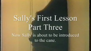 Sally's First Lesson, Part Three