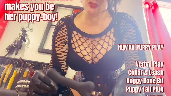 Mistress Genevieve makes you her new puppy boy tail buttplug and more