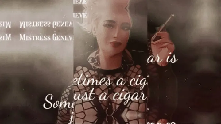 Sometimes a Cigar- Femdom Cigar Fetish Smoking Fetish Human Ashtray POV