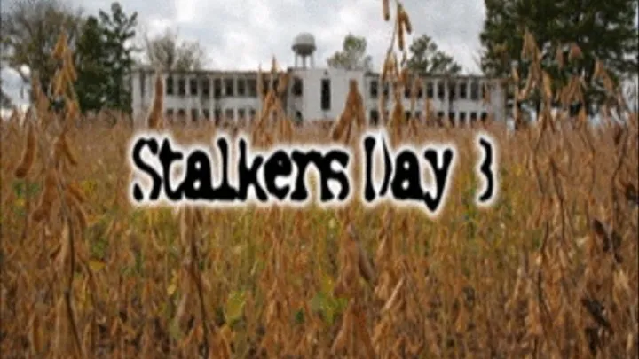 STALKERS DAY 3