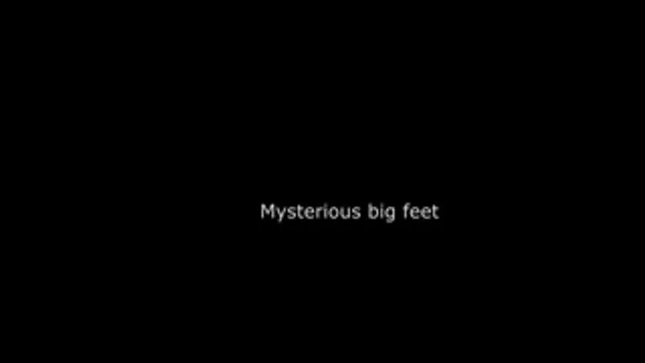 Mysterious big feet