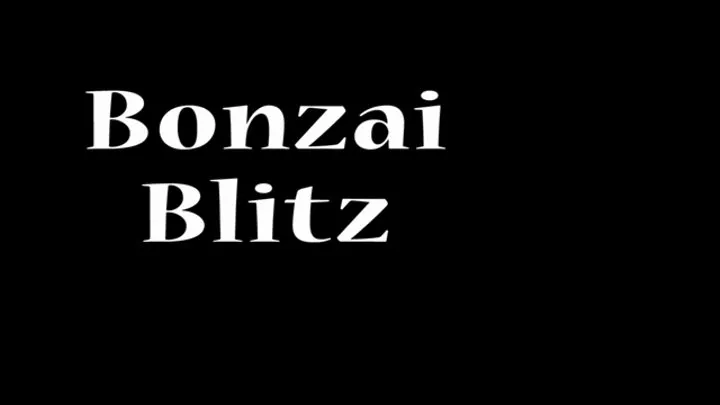 FFGMIX Bonzai Blitz