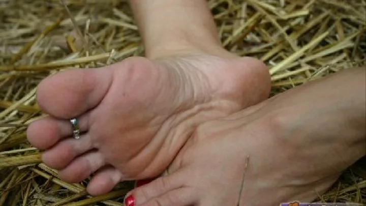 Merry's PETITE FEET