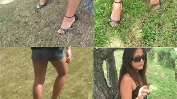 High Heels on Grass DIVX