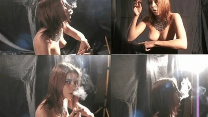 Cat: Natural Cigar Smoking-DIVX