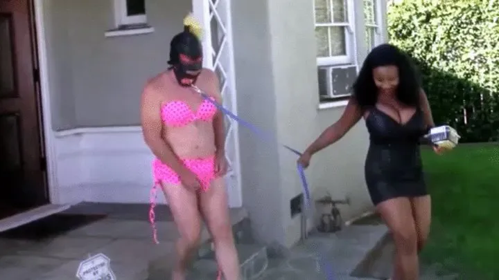 Cum-Cuckies Humiliating Pool Party Part 1