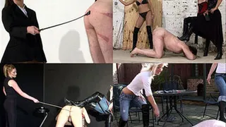 WHIPPING Compilation Volume 8