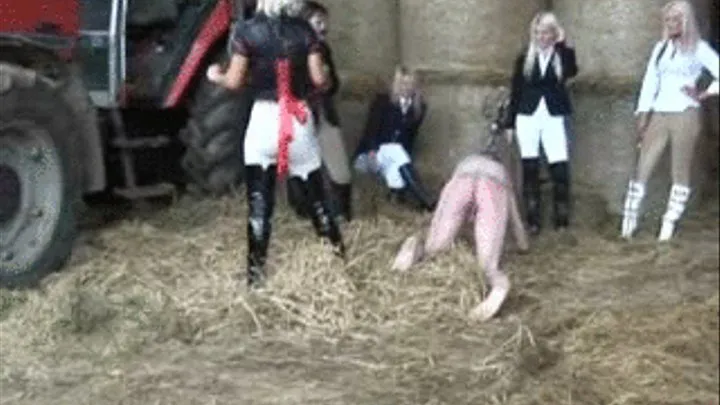 Five Mistresses On The Farm, Part 14