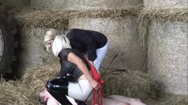 Five Mistresses On The Farm, Part 31