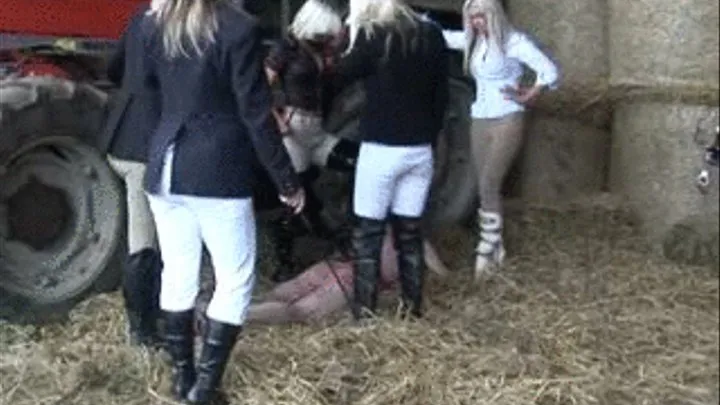 Five Mistresses On The Farm, Part 26