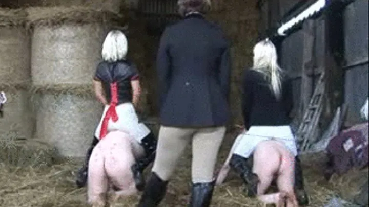 Five Mistresses On The Farm, Part 34