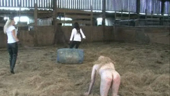 MORE Fun On The Farm, Part 5