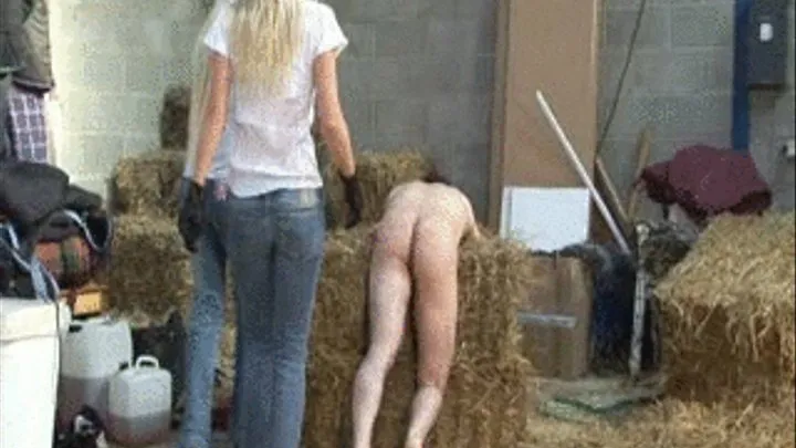 Whipped In Her Stables, Part 6