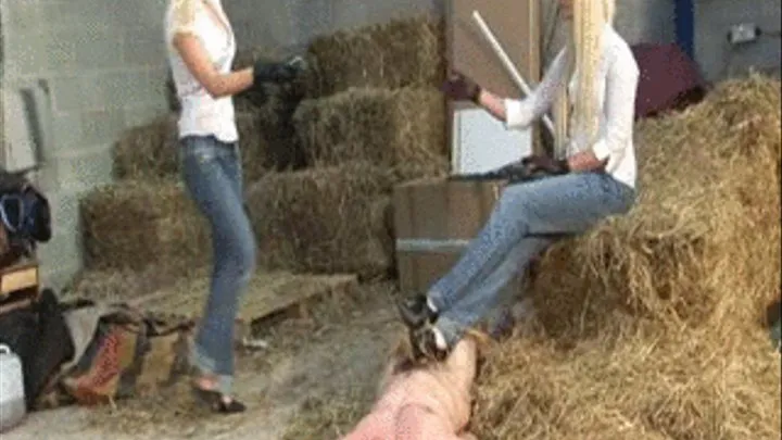 Whipped In Her Stables, Part 4