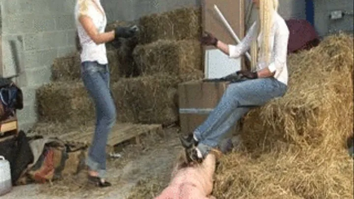 Whipped In Her Stables, Part 4 - !!!