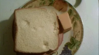 SSBBW Candy Godiva Bologna Sandwich