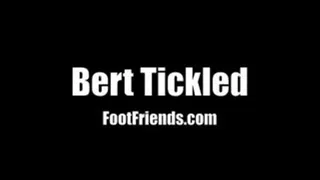 Bert Tickled