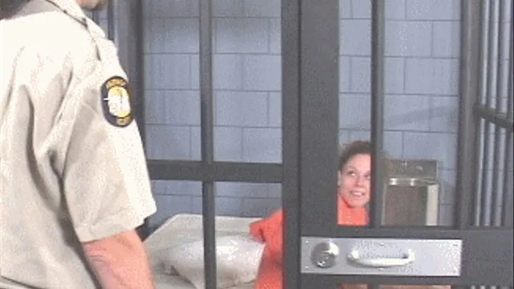 x 720 Blowjob thru jail bars