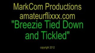 Breezie Tied Down and Tickled Divx
