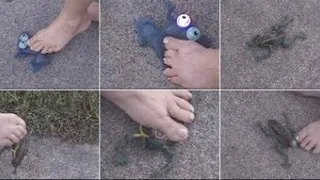 Froggy Feet