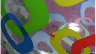 Beachball Meets Thumbtacks