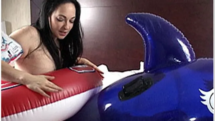 Inflatable Dolphin And Water Wings