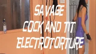 Savage Cock and Tit Electrotorture (Clip #1 of 2)