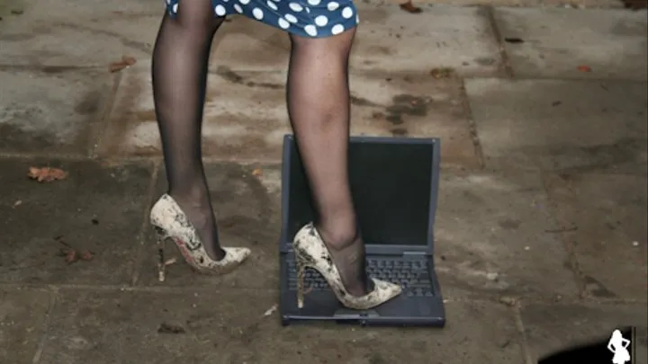 Maria's Ruined Christian Louboutin Pigalle's Crush Laptop 1