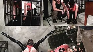 BEST IN SHOW - PART 1 of 2 - Master makes Latex Clad Ashley Renee Beg like a Puppy - PUPPY PLAY - BDSM - BONDAGE