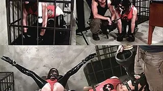 BEST IN SHOW - PART 1 - Master makes Latex Clad Ashley Renee Beg like a Puppy - PUPPY PLAY - BDSM - BONDAGE