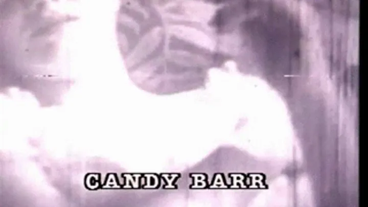 Strip Tease All-Stars - Candi Barr