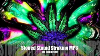 Stupid Stroking MP3