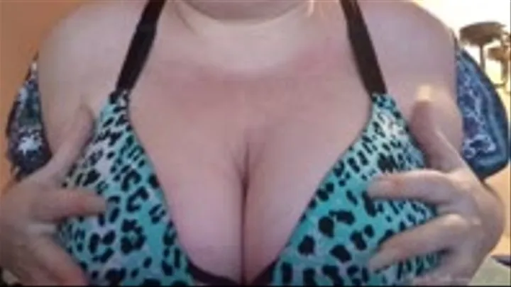 Big Leopard Tits