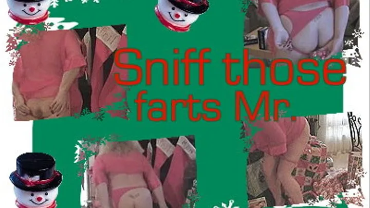 Christmas Farts