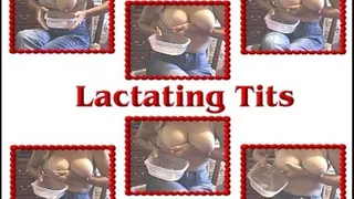 Lactating Lovers Paradise 1