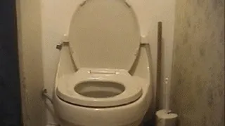 Totally Toilet Farting