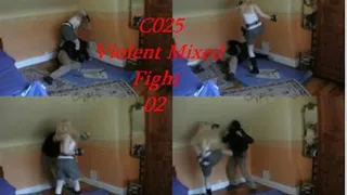 C025 MIXED FIGHT 02