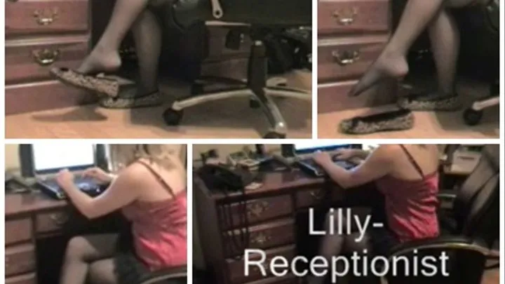 Lilly Computer Girl Clip