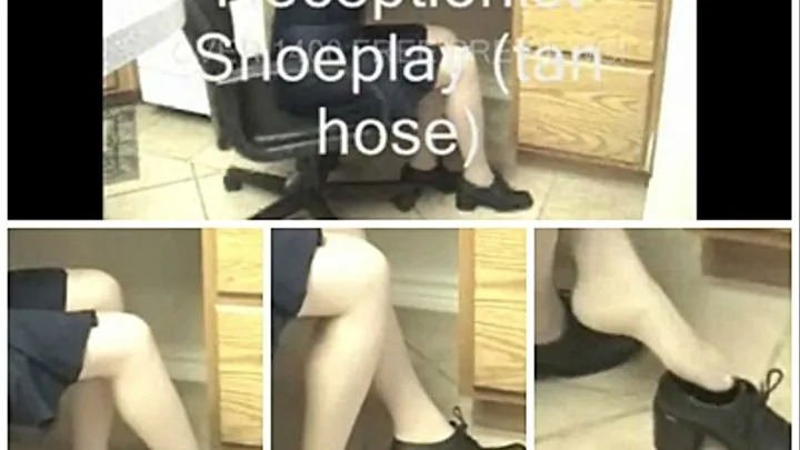 Alyson Cool Computer Shoeplay in Tan Hose