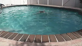 Katie Cummings Plump In The Pool