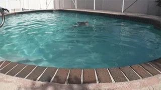 Katie Cummings Plump In The Pool