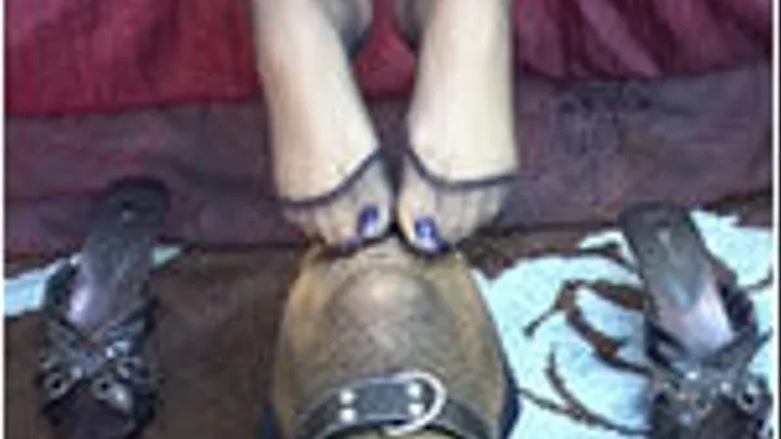 SMELL MY FEET IN SWEATY NYLONS - Low Res