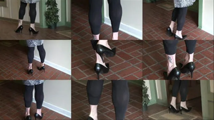 Cat in dancer's tights and black pumps